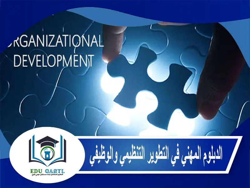 الدبلوم المهني في التطوير التنظيمي والوظيفي