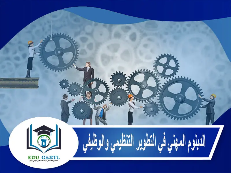 الدبلوم المهني في التطوير التنظيمي والوظيفي