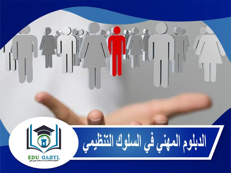 الدبلوم المهني في السلوك التنظيمي