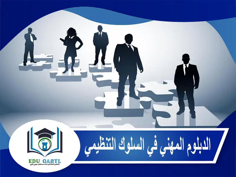 الدبلوم المهني في السلوك التنظيمي