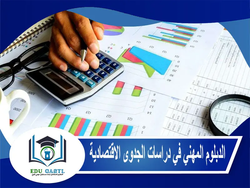 الدبلوم المهني في دراسات الجدوى الاقتصادية